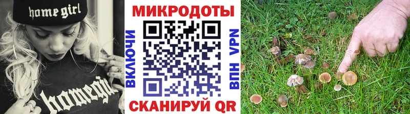omg рабочий сайт  Чадан  Псилоцибиновые грибы Cubensis  где найти  